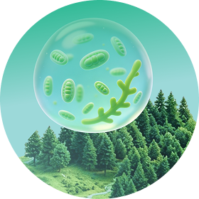 生物·沉浸互动